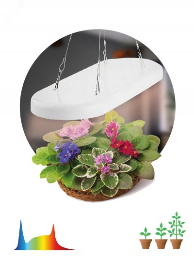 Светильник для растений FITO-25W-QLED-FLY подвесной полного спектра 25 Вт ЭРА (Б0053062)