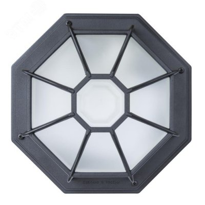 Светильник Тартаруга НПП 03-100-005 IP65 матовый /корпус с решеткой черный ИУ