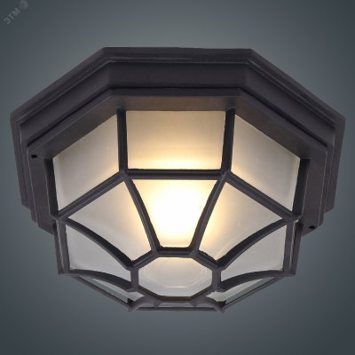 Светильник Тартаруга НПП 03-100-005 IP65 матовый /корпус с решеткой черный ИУ