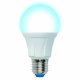 LED-A60 13W/6500K/E27/FR PLP01WH Лампа светодиодная. Форма «А», матовая. Серия Яркая. Дневной свет (